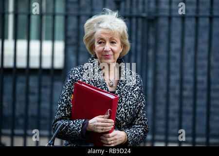 London, Großbritannien. 8. Januar 2019. Andrea Leadsom, Führer des Unterhauses, Herr Präsident des Rates, verlässt die Sitzung. Credit: Tommy London/Alamy leben Nachrichten Stockfoto