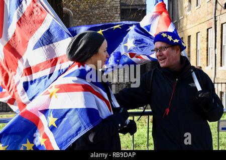 Westminster, London, Großbritannien. 8. Januar 2019. Pro EU-Remainers gezeigt außerhalb der Häuser, Westminster, London.UK Credit: michael Melia/Alamy leben Nachrichten Stockfoto