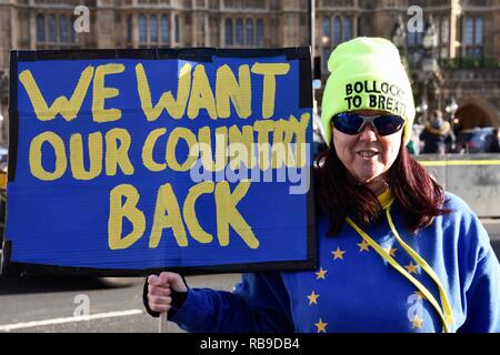 Westminster, London, Großbritannien. 8. Januar 2019. Pro EU-Remainers gezeigt außerhalb der Häuser, Westminster, London.UK Credit: michael Melia/Alamy leben Nachrichten Stockfoto