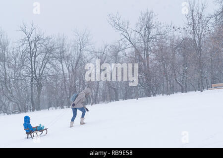 Budapest, Ungarn. 8 Jan, 2019. Leute haben Spaß in einem verschneiten Wald in der Nähe von Budapest, Ungarn, Jan. 8, 2019. Starke Schneefälle in Ungarn haben gestört oder sogar gelähmt Luft- und Straßenverkehr, Nach offiziellen Quellen hier am Dienstag. Credit: Attila Volgyi/Xinhua/Alamy leben Nachrichten Stockfoto