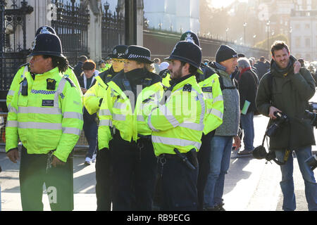 London, Großbritannien. 8 Jan, 2019. Extras Polizisten vor dem Haus des Parlaments in Westminster gesehen. Anti-Brexit Demonstranten versammeln sich vor dem britischen Parlament eine Woche vor der MPs auf die abgeschlossene Brexit Abkommen zu stimmen, MPs wird auf Theresa's kann Brexit deal Abstimmung am 15. Januar. Credit: Dinendra Haria/SOPA Images/ZUMA Draht/Alamy leben Nachrichten Stockfoto