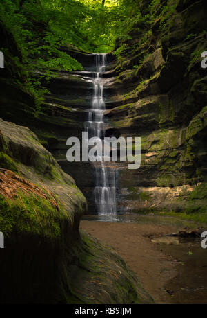 Frühling Morgen in französischer Sprache Canyon. Verhungert Rock State Park, Illinois, USA. Stockfoto