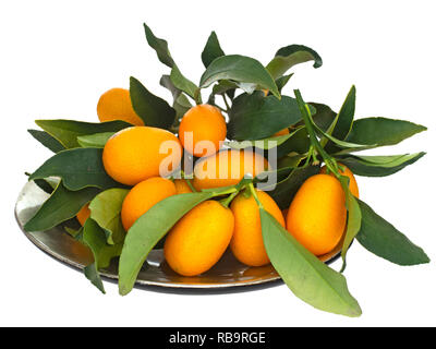 Kumquats, kumquats in Schüssel, orange Früchte und grüne Blätter auf weißem Hintergrund. Stockfoto