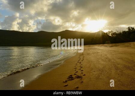 Cape Hillsborough von Smalleys Strand Campingplatz gesehen, Cape Hillsborough National Park, Queensland, Australien Stockfoto