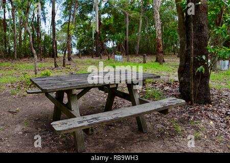 Szenen aus dem Smalleys Strand Zeltplatz, Cape Hillsborough National Park, Queensland, Australien Stockfoto