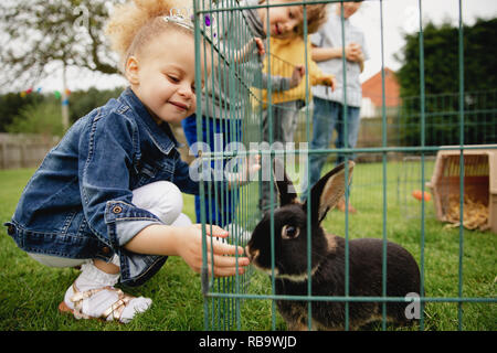 Kleines Mädchen Fütterung von Kaninchen durch die Lücke im Käfig. Sie ist smilig mit Glück lassen die Kaninchen Geruch ihrer Hand. Stockfoto