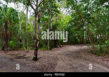 Szenen aus dem Smalleys Strand Zeltplatz, Cape Hillsborough National Park, Queensland, Australien Stockfoto