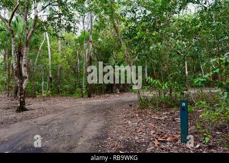 Szenen aus dem Smalleys Strand Zeltplatz, Cape Hillsborough National Park, Queensland, Australien Stockfoto