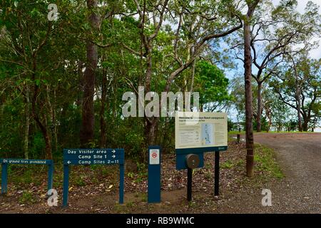 Szenen aus dem Smalleys Strand Zeltplatz, Cape Hillsborough National Park, Queensland, Australien Stockfoto