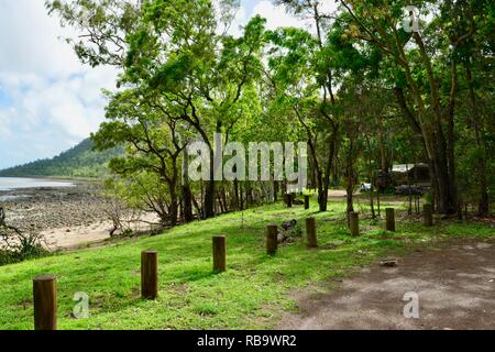 Szenen aus dem Smalleys Strand Zeltplatz, Cape Hillsborough National Park, Queensland, Australien Stockfoto