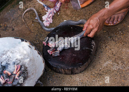 Verschieben von Shot slice Kochen exotische Menü mit Schlange auf Hartholz platte Outdoor Küche Stockfoto