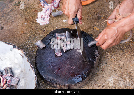 Verschieben von Shot slice Kochen exotische Menü mit Schlange auf Hartholz platte Outdoor Küche Stockfoto