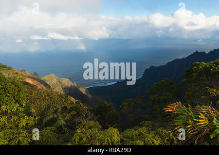 Der Blick vom Kalalau Lookout, unten ein Blick auf die Nå Pali Küste, Waimea Canyon Park, Kauai, Hawaii. Stockfoto