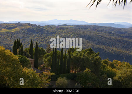 Blick über die toskanische Landschaft von der Viale della Libertà, Montalcino, Toskana, Italien Stockfoto