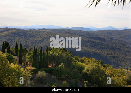 Blick über die toskanische Landschaft von der Viale della Libertà, Montalcino, Toskana, Italien Stockfoto