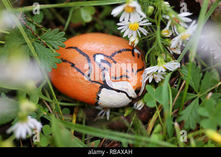 Ein wenig schlafen Red Fox ist auf einem Felsen bemalt und versteckt sich in der gemütlichen Gras und Blumen im Garten. Stockfoto