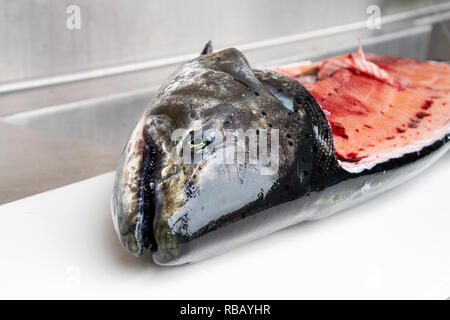 Nahaufnahme der verrundeten roher Lachs auf Weiß Schneidebrett im Fish station Stockfoto