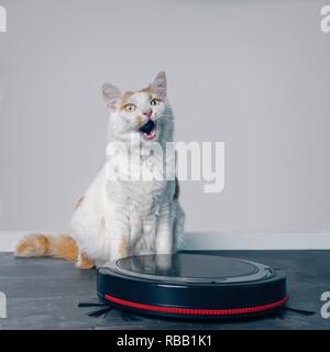 Cute tabby Katze hinter einem Roboter Staubsauger und suchen lustige nach oben sitzen. Stockfoto