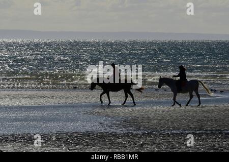 Pferd Pferde Bucht Strand Meer Karibik Costa Rica Cahuita Playa Negra Sand Wasser Wellen Blau Urlaub Urlaub Stockfotografie Alamy