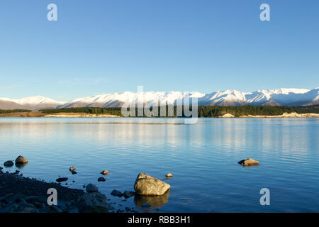 See Tepako Sunrise in Neuseeland. Einen klaren Himmel im See spiegeln mit schneebedeckten Bergen und grünen Forna, den Wechsel der Jahreszeiten Stockfoto