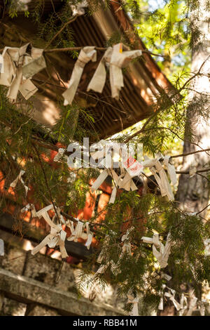 Gebete auf Bänder in den Filialen der Tannenbaum in Miyajima Japan gebunden geschrieben Stockfoto