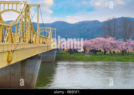Voller Blüte Cherryblossom Sakura bei Kitakami Tenshochi Park in Kitakami, Iwate, Japan Iwate, Japan - 22 April 2018: kitakami Tenshochi Park von Stockfoto