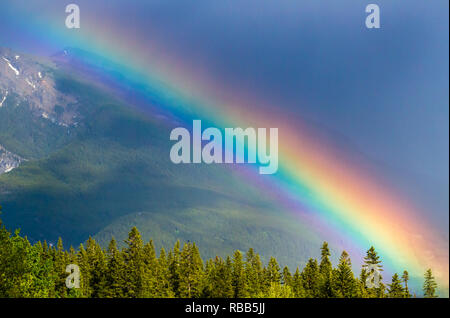 Rainbow füllt Himmel mit Vielzahl von Farben über Bäume und gegen Berge im Banff National Park, Alberta, Kanada Stockfoto