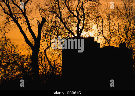 Stadt bei Sonnenuntergang - Gebäude Kontur und Bäume Formen auf orange Himmel Hintergrund - Ottawa, Ontario, Kanada Stockfoto