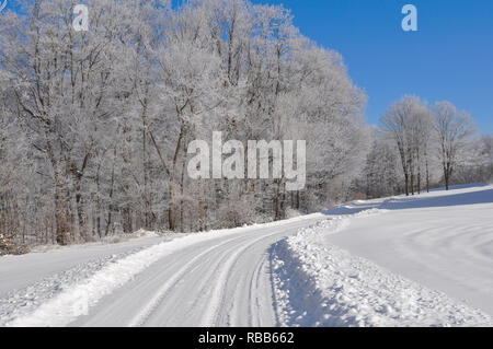 Winter Ice Storm Stockfoto