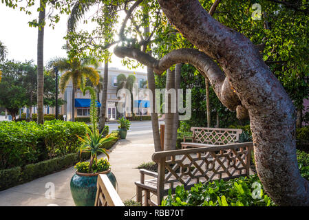 Am frühen Morgen von einem Park entlang der Autobahn A 1 Ein in Palm Beach, Florida. (USA) Stockfoto