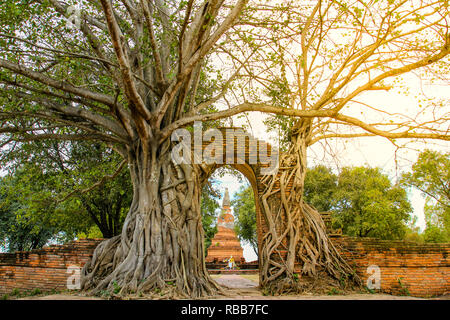 Alte Tor im Wat Phra Ngam Tempel, Ayutthaya, Thailand. Stockfoto