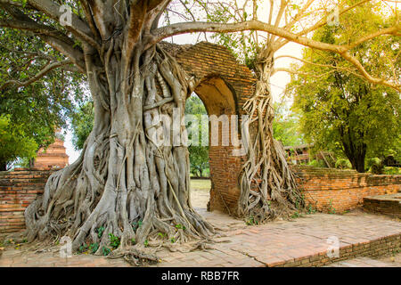 Alte Tor im Wat Phra Ngam Tempel, Ayutthaya, Thailand. Stockfoto