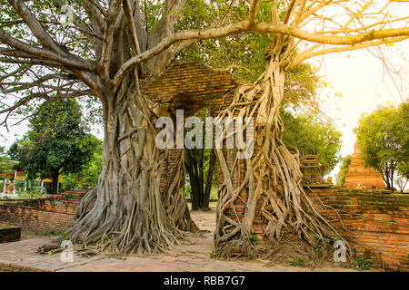 Alte Tor im Wat Phra Ngam Tempel, Ayutthaya, Thailand. Stockfoto