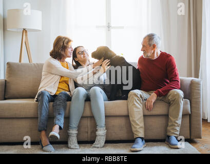 Ein älteres Paar mit ein junges Mädchen sitzt auf einem Sofa mit Hund zu Hause. Stockfoto