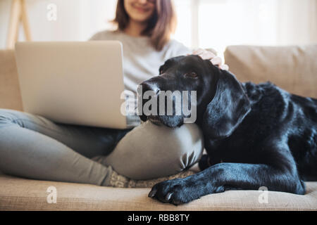 Ein Mittelteil von jugendlichen Mädchen mit einem Hund sitzt auf einem Sofa im Innenbereich, die an einem Notebook arbeitet. Stockfoto