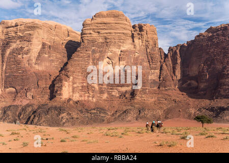 Kamele mit Touristen in der Wüste Wadi Rum, Jordanien, Asien | Kamele mit Touristen in der Wüste Wadi Rum, Jordanien, Asien Stockfoto