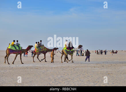 Touristische reiten auf Kamel zurück in Weiß Rann, Gujarat, Indien Stockfoto