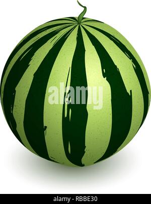 Wassermelone ganze auf einem weißen Hintergrund. Stock Vektor