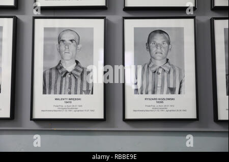 Fotos von Gefangenen an den Wänden in den sich bewegenden Ausstellung bei Auschvitz 1 Konzentrationslager in Polen Stockfoto