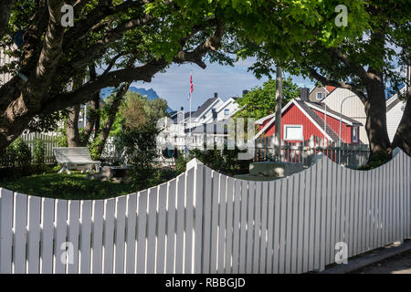 Kleiner Park mit weißen Holzzaun, Henningsvær, Austvagöy, Lofoten, Norwegen Stockfoto