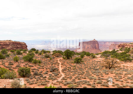 Pfad zu Buck Canyon und Airport Tower im Canyonlands National in Utah. Stockfoto