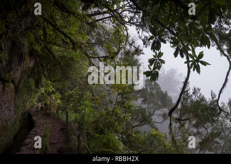 Madeira, Portugal - 11. Juni 2017: Pfad entlang der Levada von Caldeirão Verde Stockfoto