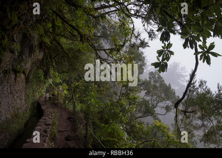 Madeira, Portugal - 11. Juni 2017: Pfad entlang der Levada von Caldeirão Verde Stockfoto