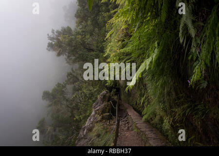 Madeira, Portugal - 11. Juni 2017: Pfad entlang der Levada von Caldeirão Verde Stockfoto