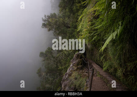 Madeira, Portugal - 11. Juni 2017: Pfad entlang der Levada von Caldeirão Verde Stockfoto