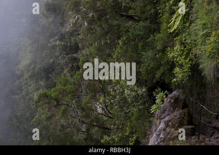 Madeira, Portugal - 11. Juni 2017: Pfad entlang der Levada von Caldeirão Verde Stockfoto