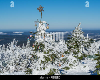 Geschmückten Weihnachtsbaum im Erzgebirge Stockfoto