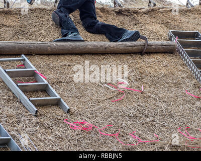 Dachdecker Reetdachhaus Stockfoto