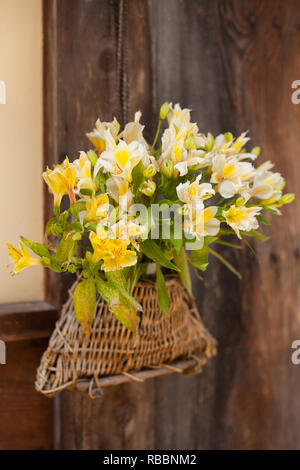 Gelbe Blumen hängende außerhalb japanische Haus Stockfoto