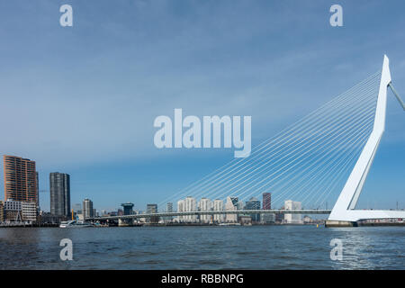 Die Erasmusbrücke in Rotterdam von der Nieuwe Maas gesehen. Ersamus brug in Rotterdam from De Nieuwe Maas gezien. Stockfoto